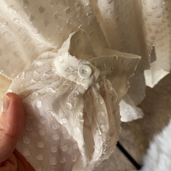 BCBG Max Azria Sheer Tie Flowy Blouse - Picture 2 of 9